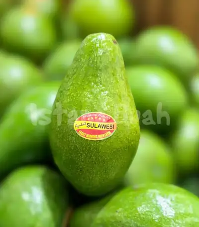 Alpukat Sulawesi Istana Buah