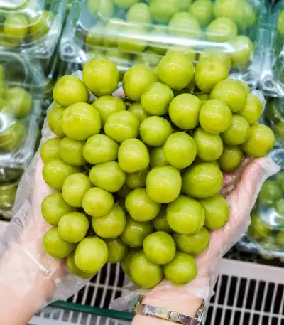 Anggur Shine Muscatb asal Jepang dengan rasa manis dan tanpa biji