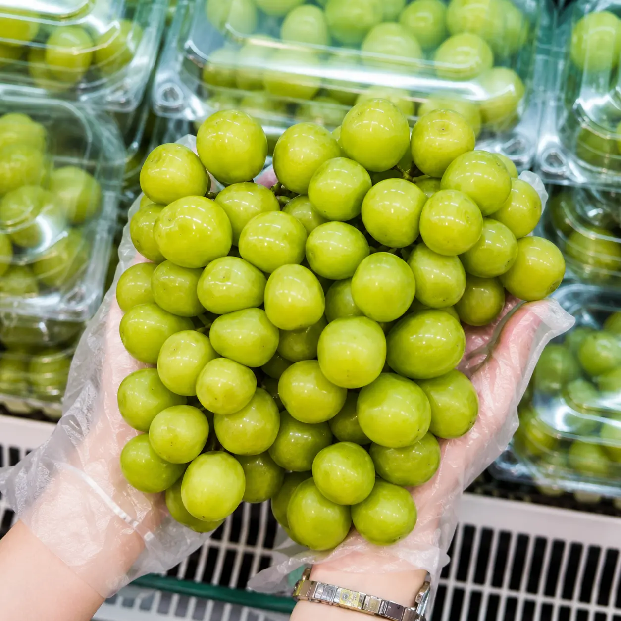Anggur Shine Muscat Istana Buah Anggur Shine Muscatb asal Jepang dengan rasa manis dan tanpa biji