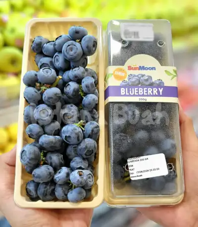 Blueberry Istana Buah