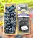 Blueberry Istana Buah