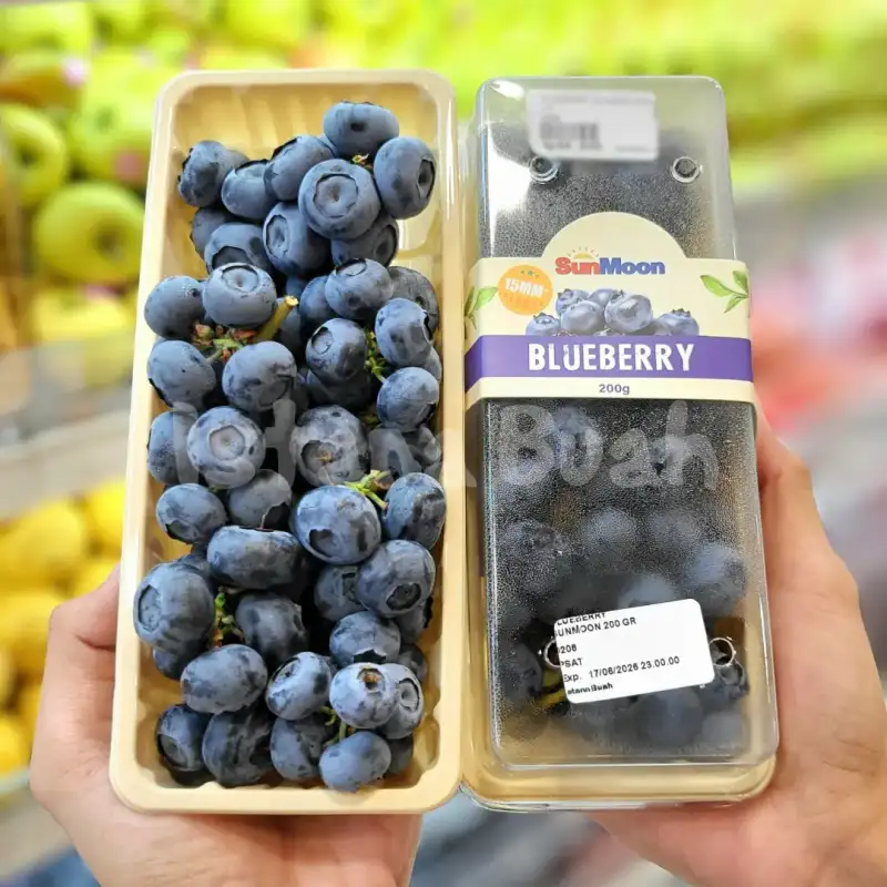 Blueberry Istana Buah