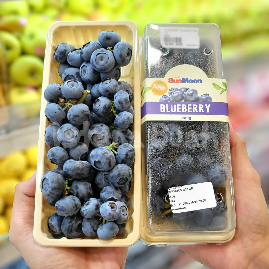 Blueberry Istana Buah Blueberry Istana Buah