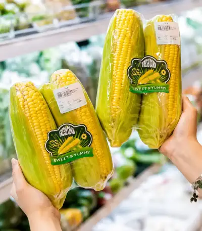 Jagung Manis Mutiara yang memiliki bulir padar, renyah, dan manis