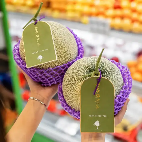 Melon Marakaito asal Jepang dengan tekstur renyah dan juicy