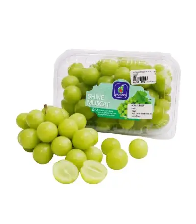 Produk buah Istana Buah Semarang - Anggur Green Muscat