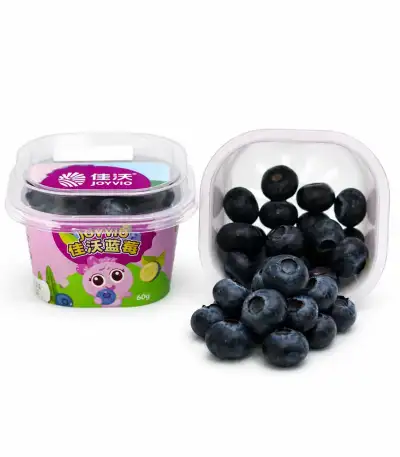 Produk buah Istana Buah Semarang - Joyvio Blueberry Snack Cup