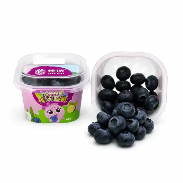 Produk buah Istana Buah Semarang - Joyvio Blueberry Snack Cup