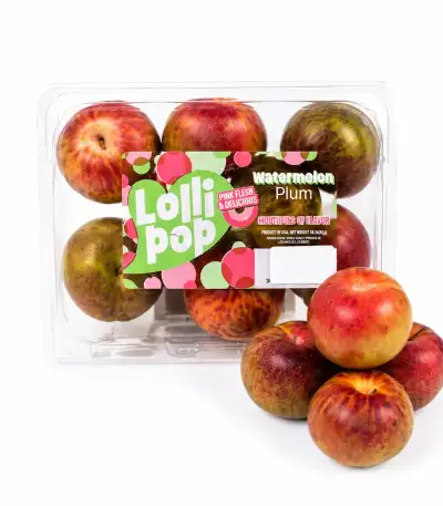 Produk buah Istana Buah Semarang - Lollipop Watermelon Plum USA