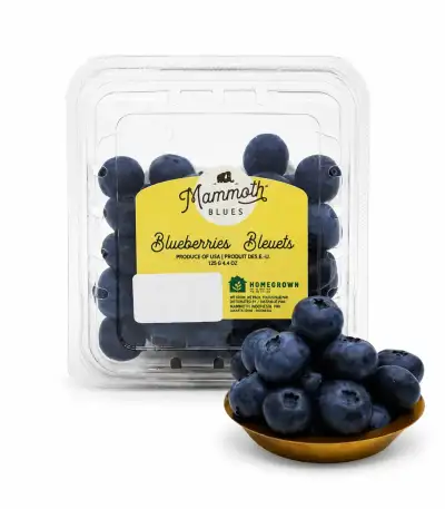 Produk buah Istana Buah Semarang - Mammoth Blueberries Organic USA