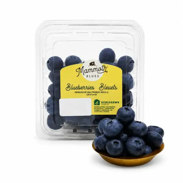 Produk buah Istana Buah Semarang - Mammoth Blueberries Organic USA