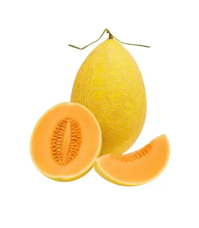 Produk buah Istana Buah Semarang - Melon Elysia