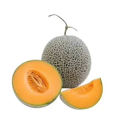Produk buah Istana Buah Semarang - Melon Emeralda