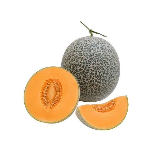 Produk buah Istana Buah Semarang - Melon Golden Aroma