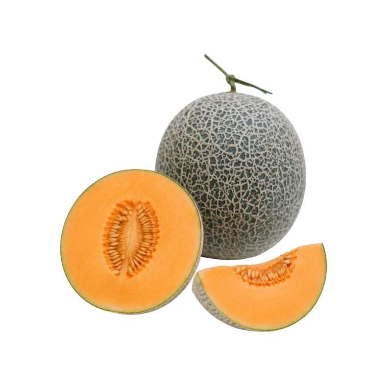 Produk buah Istana Buah Semarang - Melon Golden Aroma