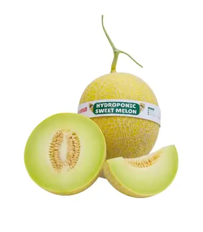 Produk buah Istana Buah Semarang - Melon Greeniegal