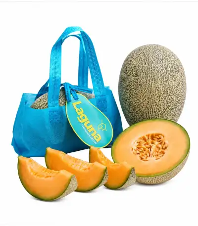 Produk buah Istana Buah Semarang - Melon Hamigua