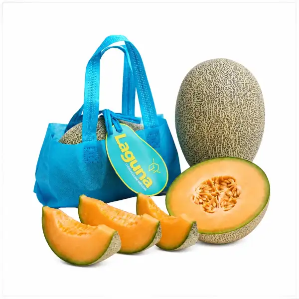 Produk buah Istana Buah Semarang - Melon Hamigua
