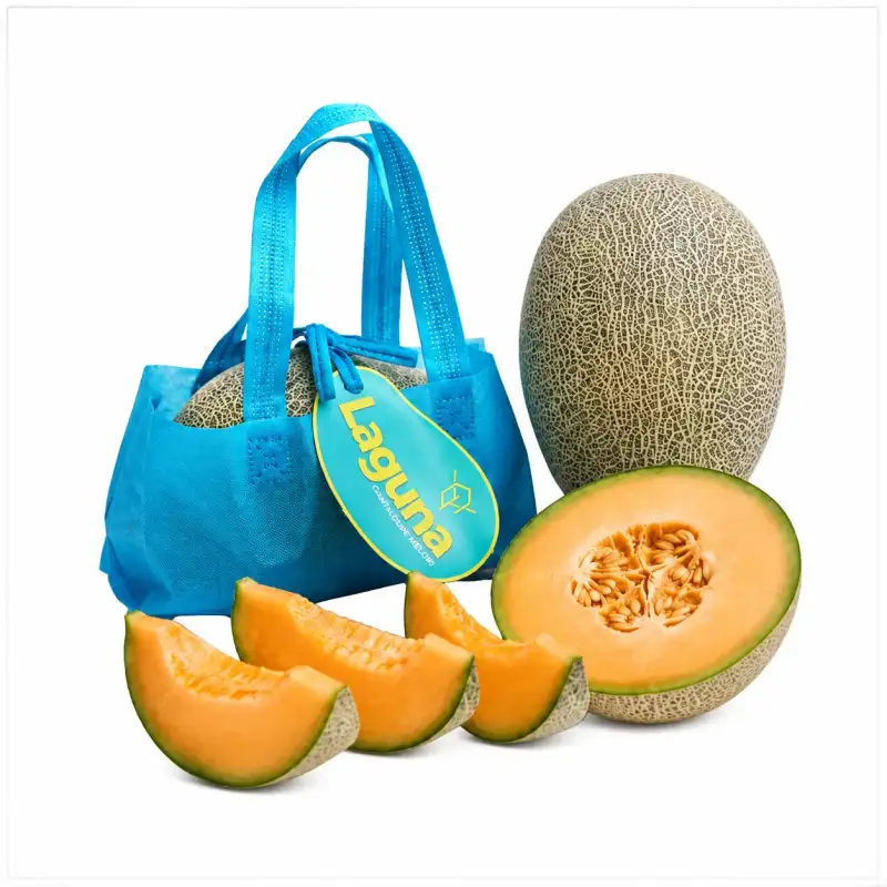 Produk buah Istana Buah Semarang - Melon Hamigua