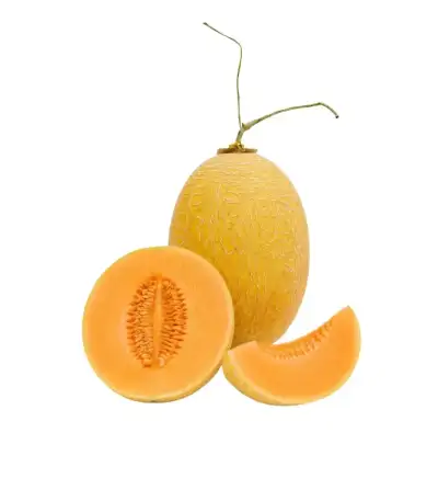 Produk buah Istana Buah Semarang - Melon Lavender