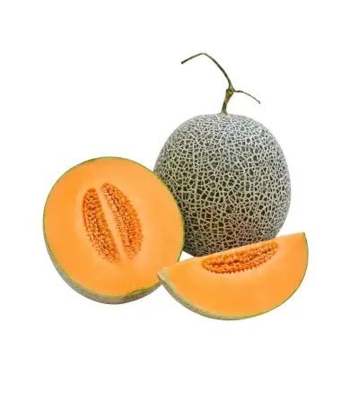 Produk buah Istana Buah Semarang - Melon Rock