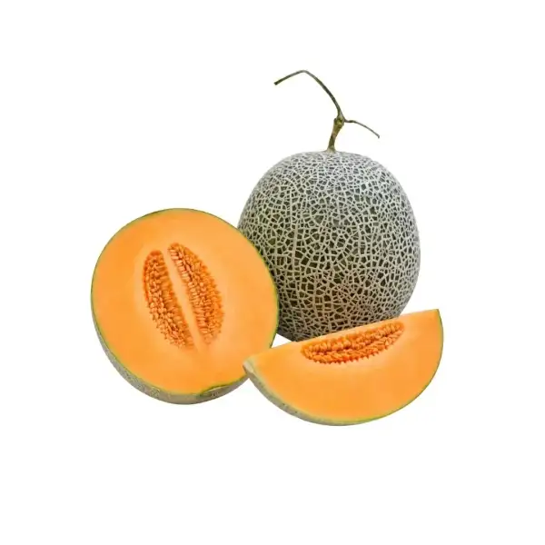 Produk buah Istana Buah Semarang - Melon Rock