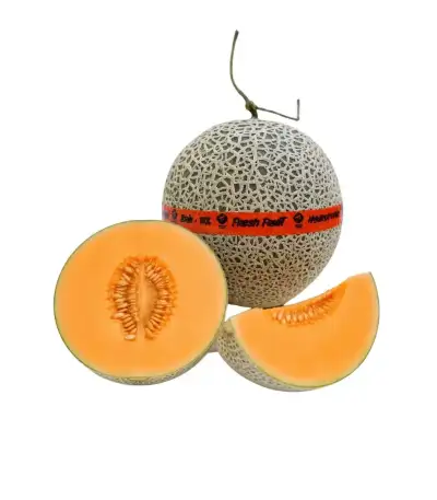 Produk buah Istana Buah Semarang - Melon Silver Coral