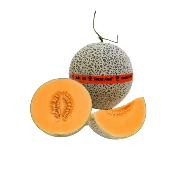Produk buah Istana Buah Semarang - Melon Silver Coral