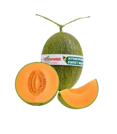 Produk buah Istana Buah Semarang - Melon Sunray