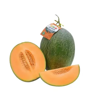 Produk buah Istana Buah Semarang - Melon Sweet Hami