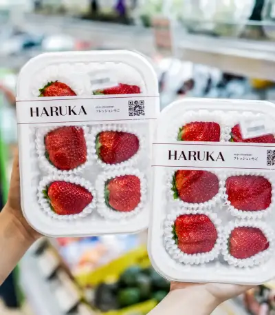 Strawberry Haruka dengan rasa manis dan aroma harum