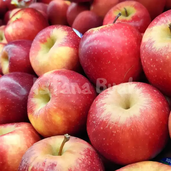 produk istana buah semarang - Buah Apel Queen