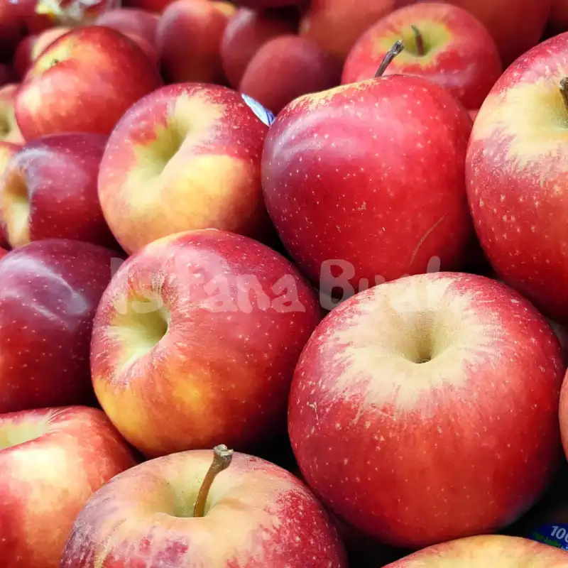produk istana buah semarang - Buah Apel Queen