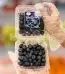 produk istana buah semarang - Buah Blackberry USA