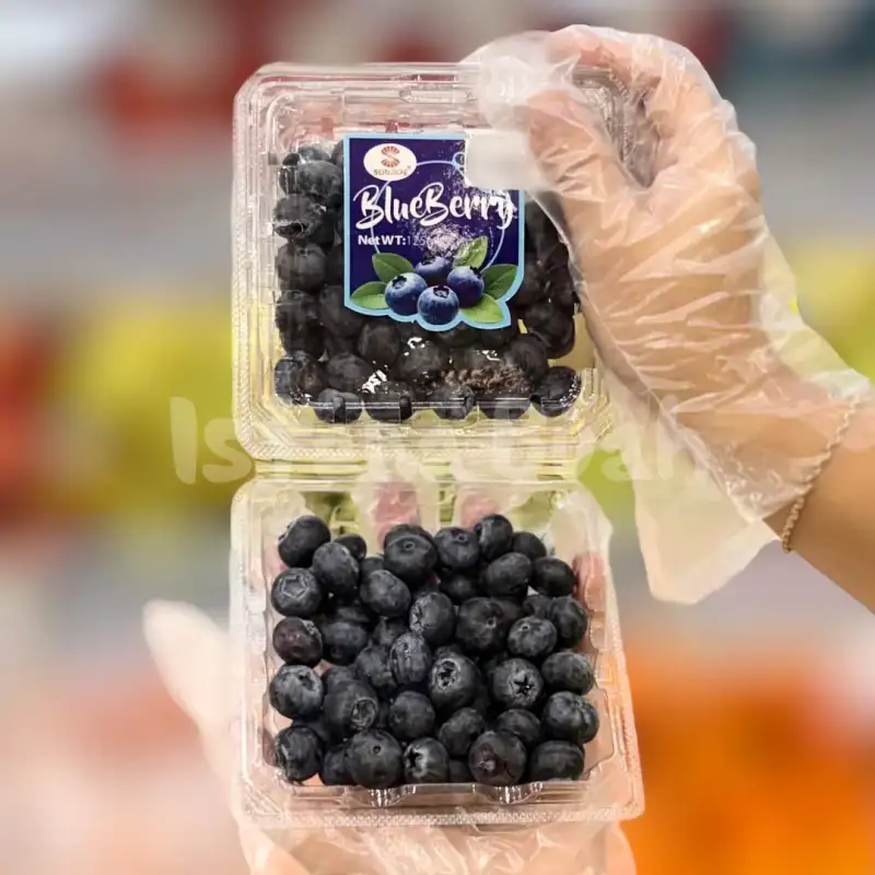 produk istana buah semarang - Buah Blackberry USA