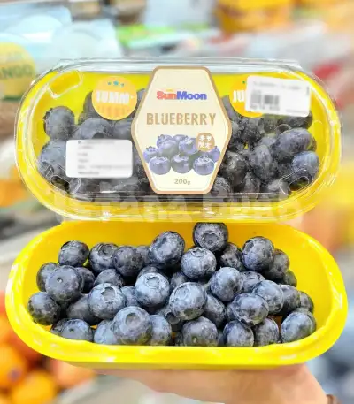 produk istana buah semarang - Buah Blueberry Sun Moon 18mm