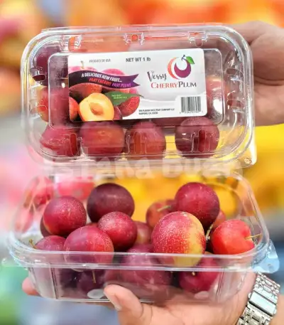 produk istana buah semarang - Buah Cherry Plum