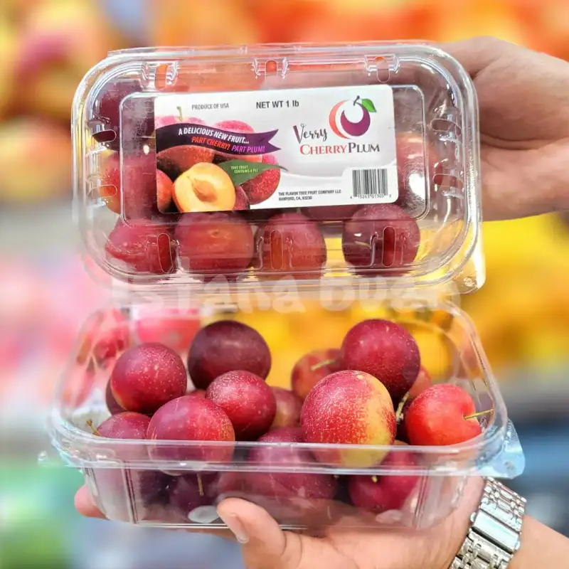 produk istana buah semarang - Buah Cherry Plum