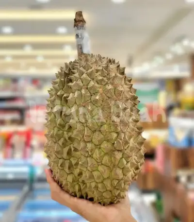 produk istana buah semarang - Buah Durian Bawor
