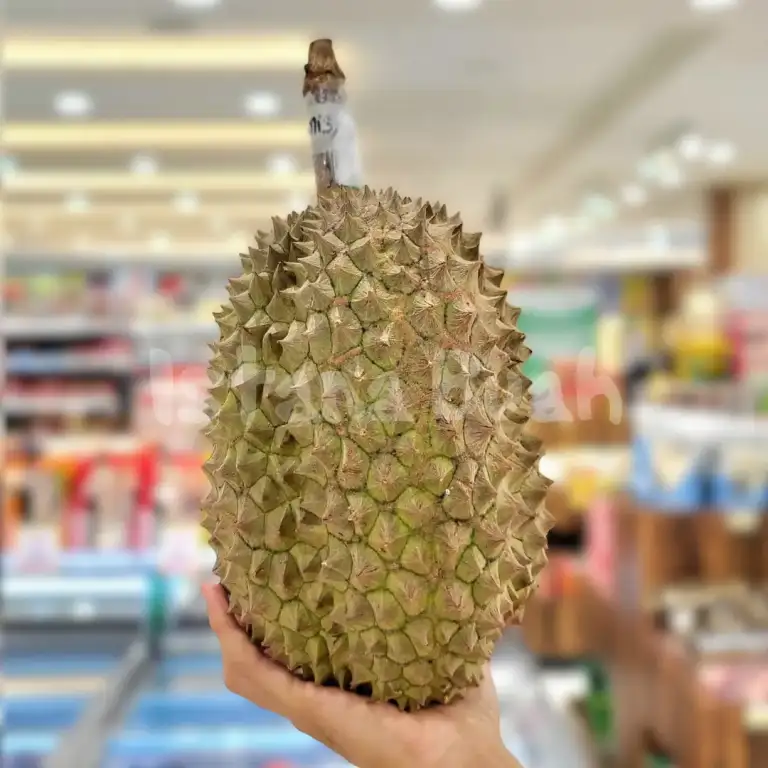 produk istana buah semarang - Buah Durian Bawor