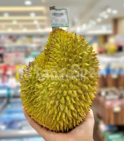 produk istana buah semarang - Buah Durian Lokal