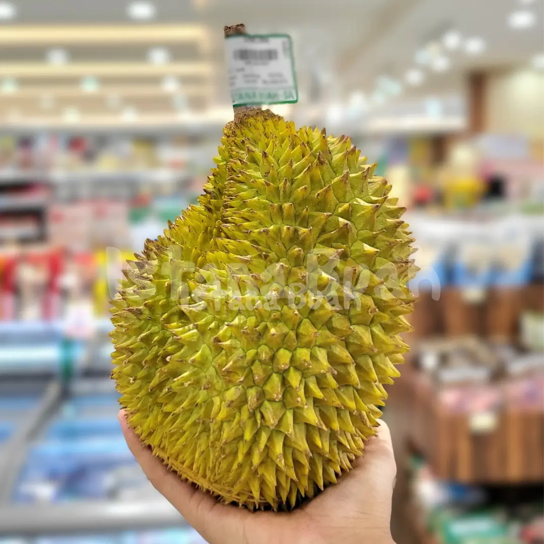 produk istana buah semarang - Buah Durian Lokal produk istana buah semarang - Buah Durian Lokal