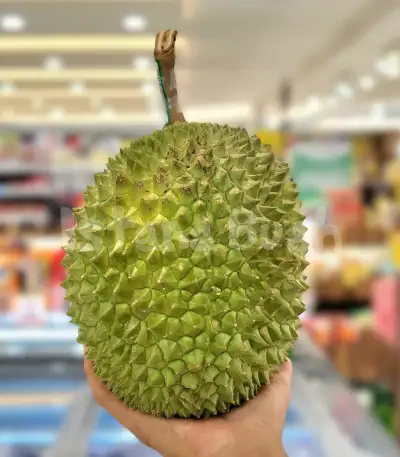produk istana buah semarang - Buah Durian Musangking Lokal