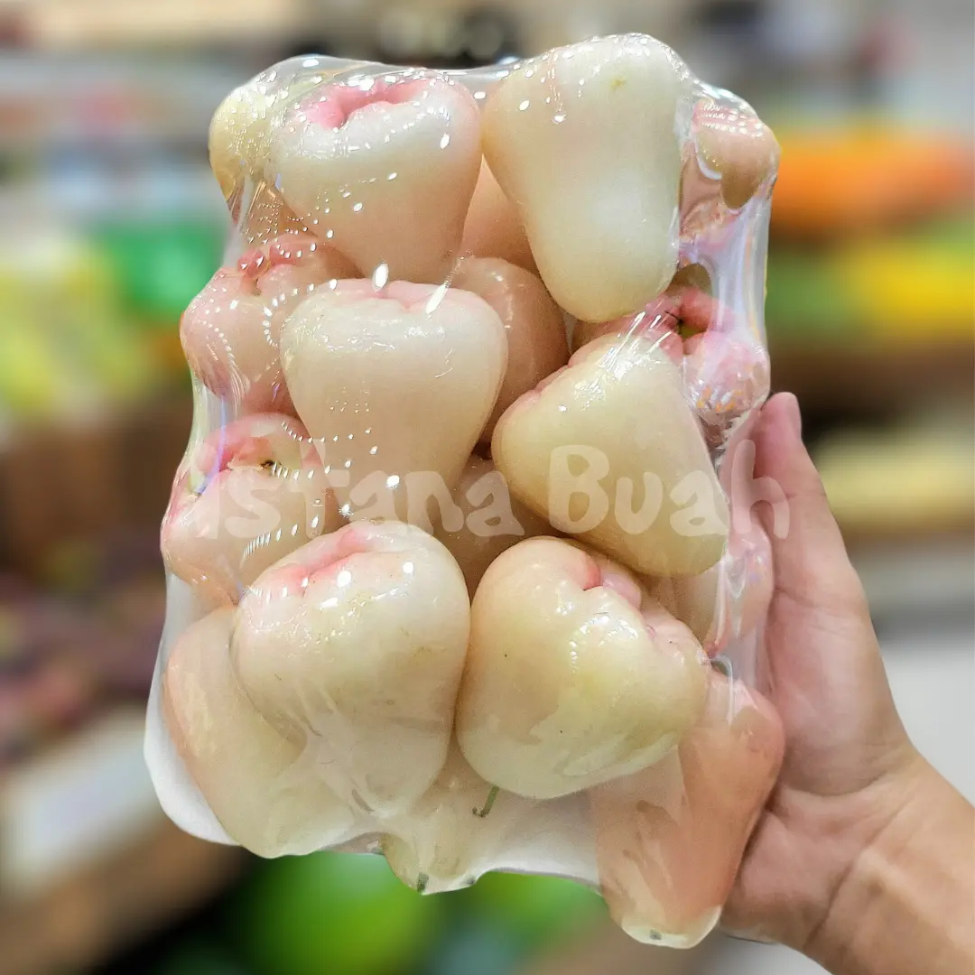 produk istana buah semarang - Buah Jambu Air Madu produk istana buah semarang - Buah Jambu Air Madu