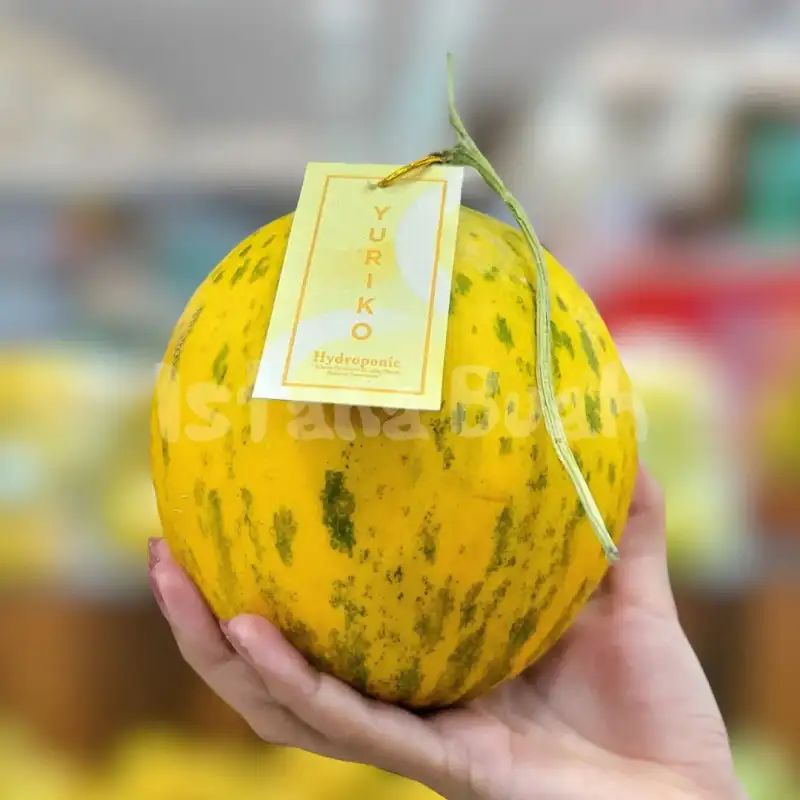 produk istana buah semarang - Buah Melon Yuriko