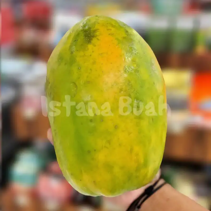 produk istana buah semarang - Buah Pepaya Merah Delima