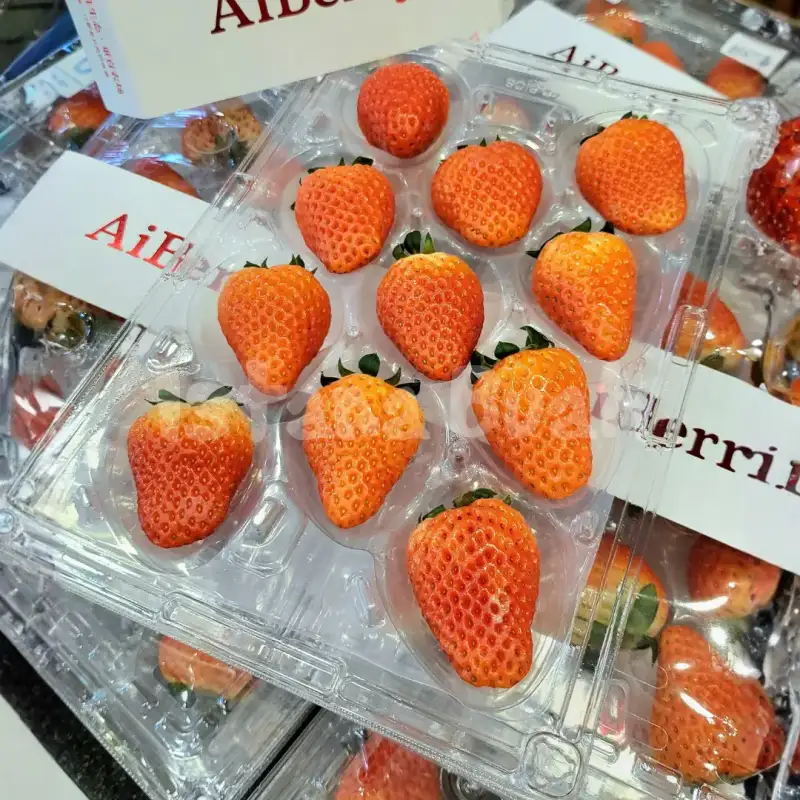 produk istana buah semarang - Buah Strawberry Korea