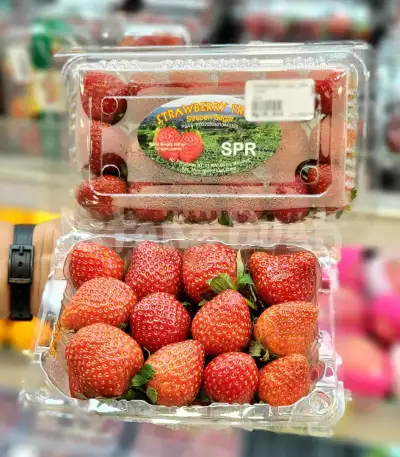 produk istana buah semarang - Buah Strawberry Lokal Indonesia