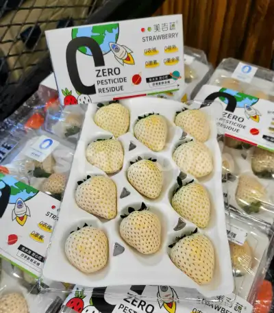 produk istana buah semarang - Buah White Strawberry Korea