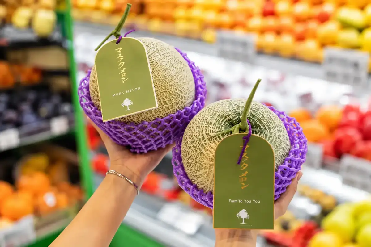 istana buah semarang menyediakan jenis-jenis melon impor premium